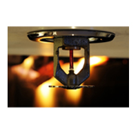 Sprinklers Pendant / Upright ( UL / UL & FM) Supplier